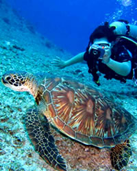 diver filming in the granada coast