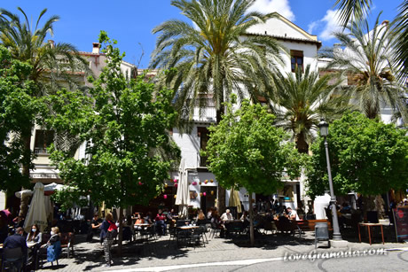 tapas bars near the cathedral of granada
