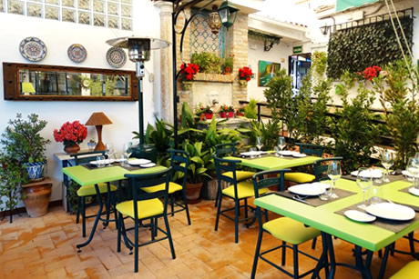 green terrace full of plants in carmen verde luna