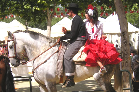 hourse carriage in feria