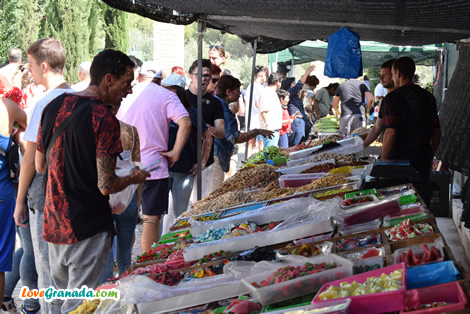 san miguel market