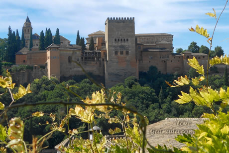 yellow leaves in front of the alhambra