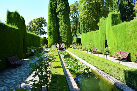 generalife gardens