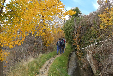 group of people waling near river in granada in autumn