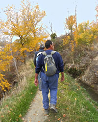 walk in nature in granada in autumn