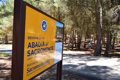 sacromonte abbey sign in the forest