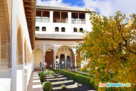 generalife