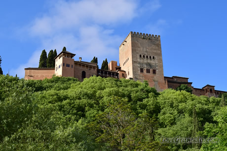 view of the alhambra from paseo de los tristes
