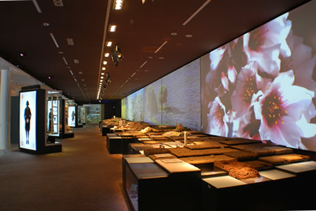 activities for children at the caja granada museum