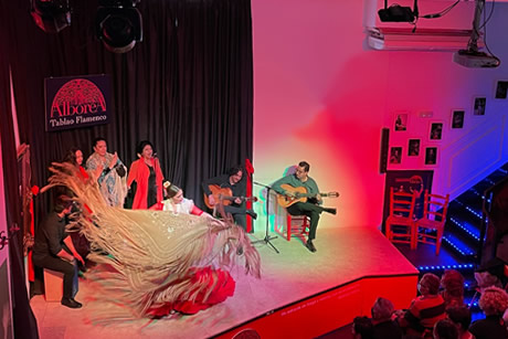 arbolea flamenco show