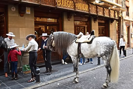 8 tapas bars, a restaurant and bar in plaza bib rambla