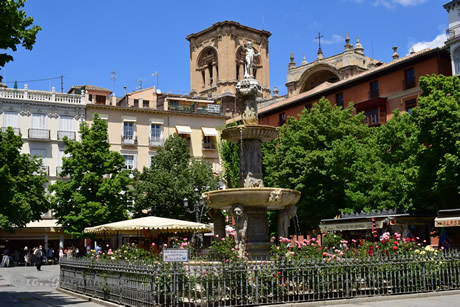 bib rambla square