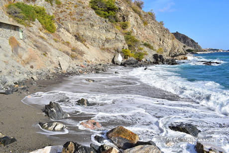 tropical coast