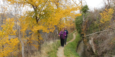 excursions and routes in granada