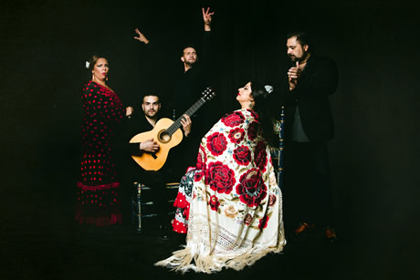 flamenco group posing in casa ana