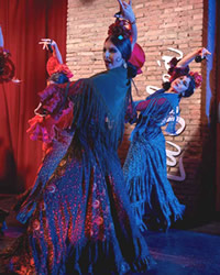 a cave of flamenco typical of Granada