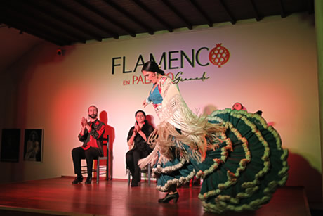 palacio apasionate dancers