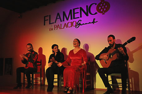 palacio flamenco singer