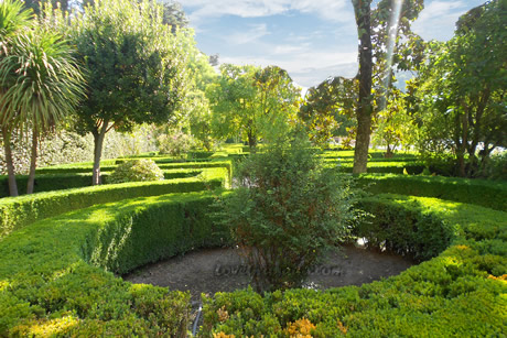 casa of chapiz green gardens