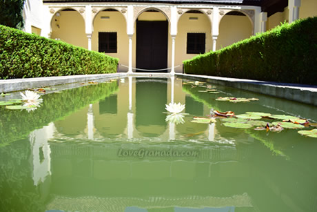 pond with reflections in chapiz house