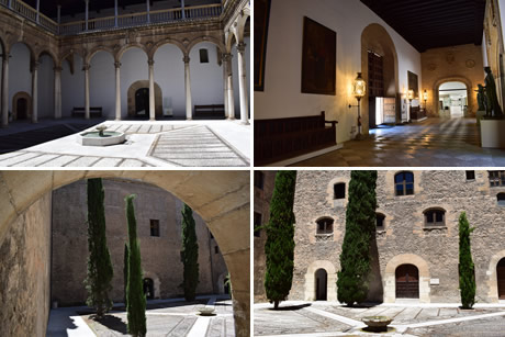 royal hospital of granada