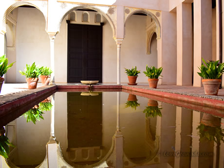 central pond of the patio