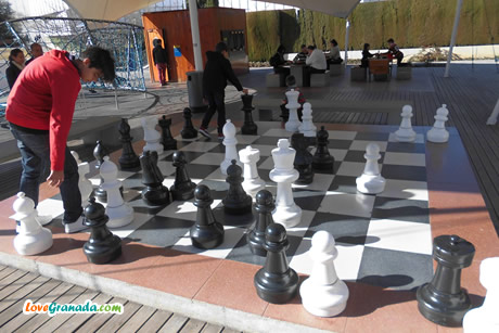 playing big chess