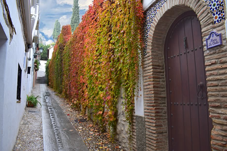 colourful albaicin streets in autumn