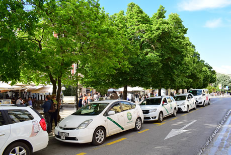 taxis plaza nueva