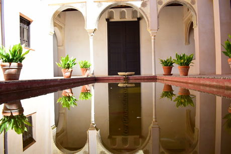 pond in zarfa house