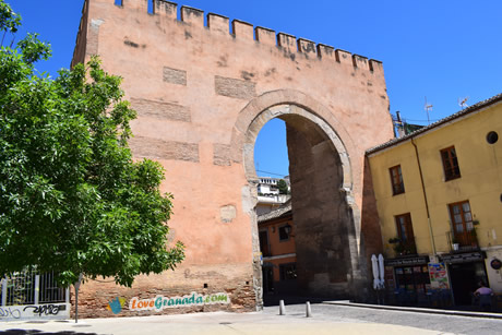 trees around elvira gate