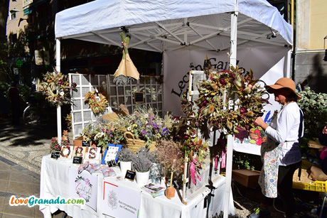 flowers stand in paseo del salon