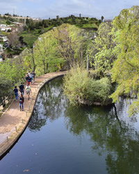 carmen martires gardens