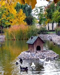 park with a lake with ducks in granada