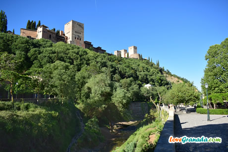 buildings and nature around paseo tristes granada