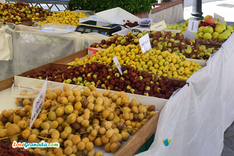 autumn fruits