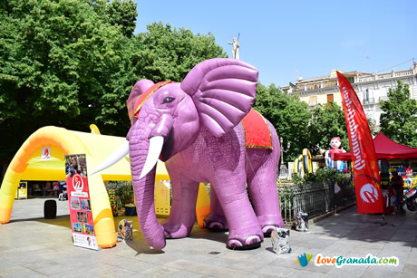 elephant in bib rambla