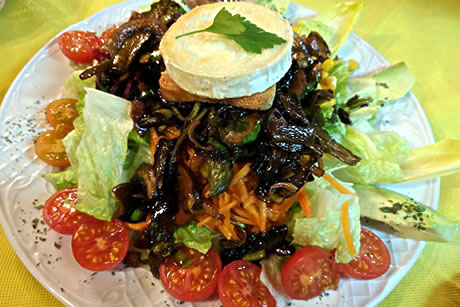 goat cheese salad in antorcha restaurant