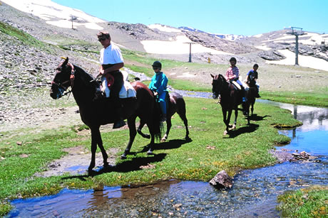 go on hourses in sierra nevada