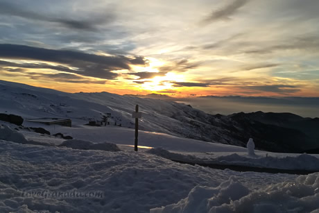 top of veleta night tour sierra nevada
