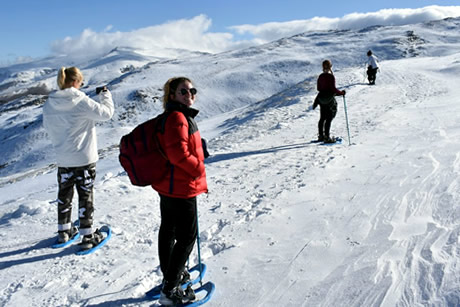 small snow shoes group