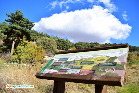 view point in sierra nevada garden