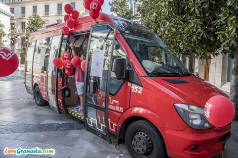 urban bus in triunfo