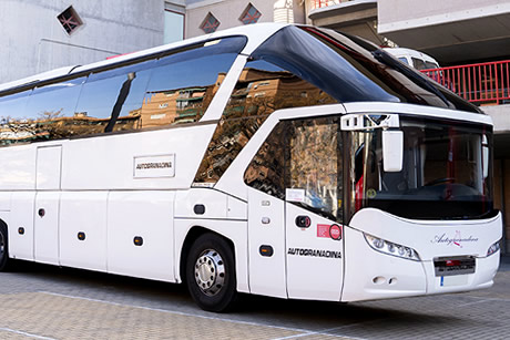 autogranadina white bus