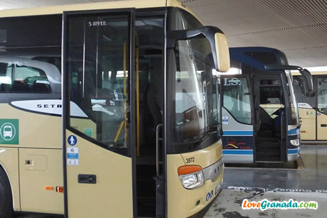buses station of granada